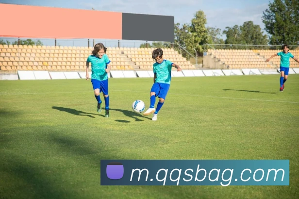 ag官网APP 高清赛事图